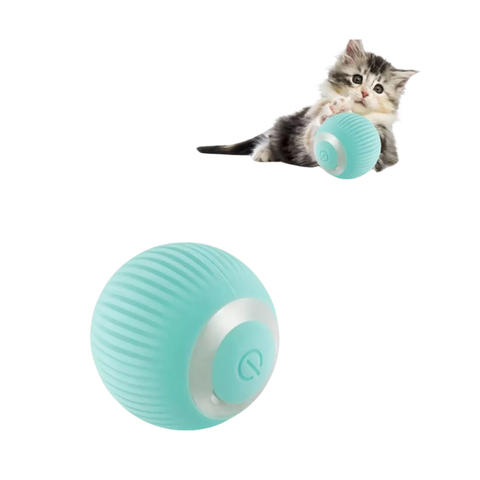Pelota Recargable Mascota