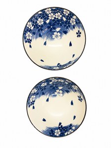WP-AZ-B81005 SET BOWL X2 CON PALITO