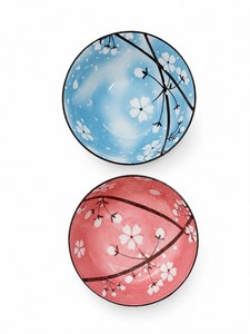 WP-AZ-B81008 SET BOWL X2 COLOR