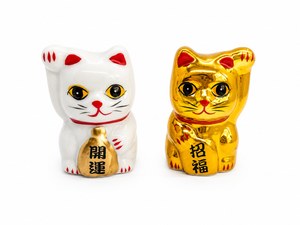 WP-GY0019 SET X2U CERAMICA GATOS