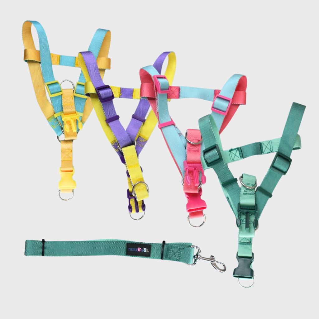 2.5CM PRETAL MULTICOLOR /082585