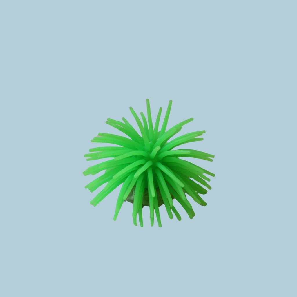 ANEMONAS CHI 7CM /010001