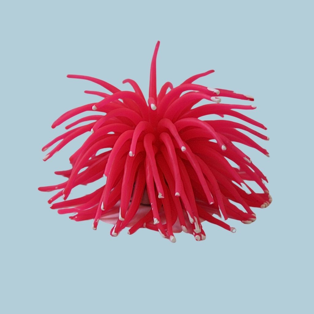 ANEMONAS GR 12CM /010003