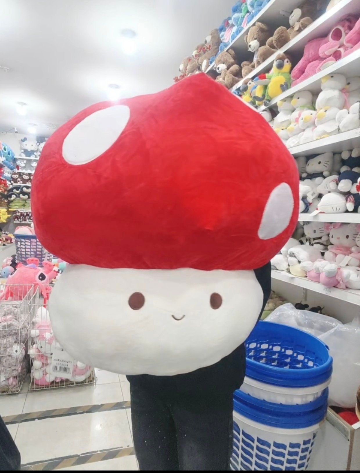 Hongo 60cm