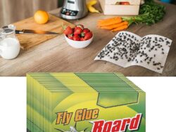Trampas adhesivas para Moscas Domésticas Green Live TG-9 C-110001 caja