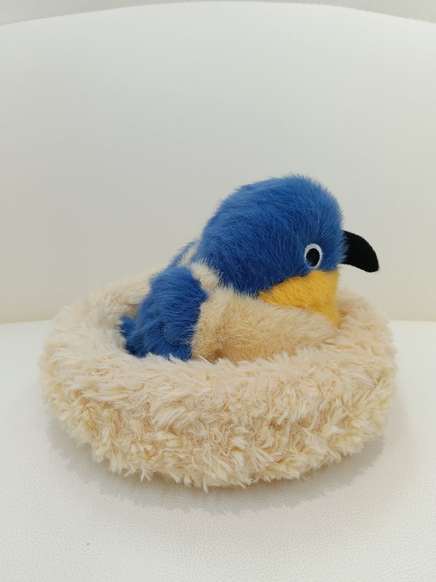 Pájaro azul en nido
