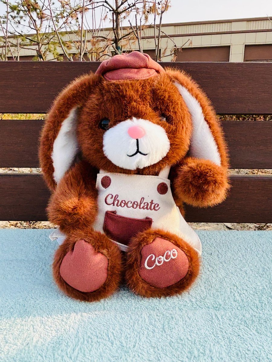 Conejo con buzo Chocolate 30cm