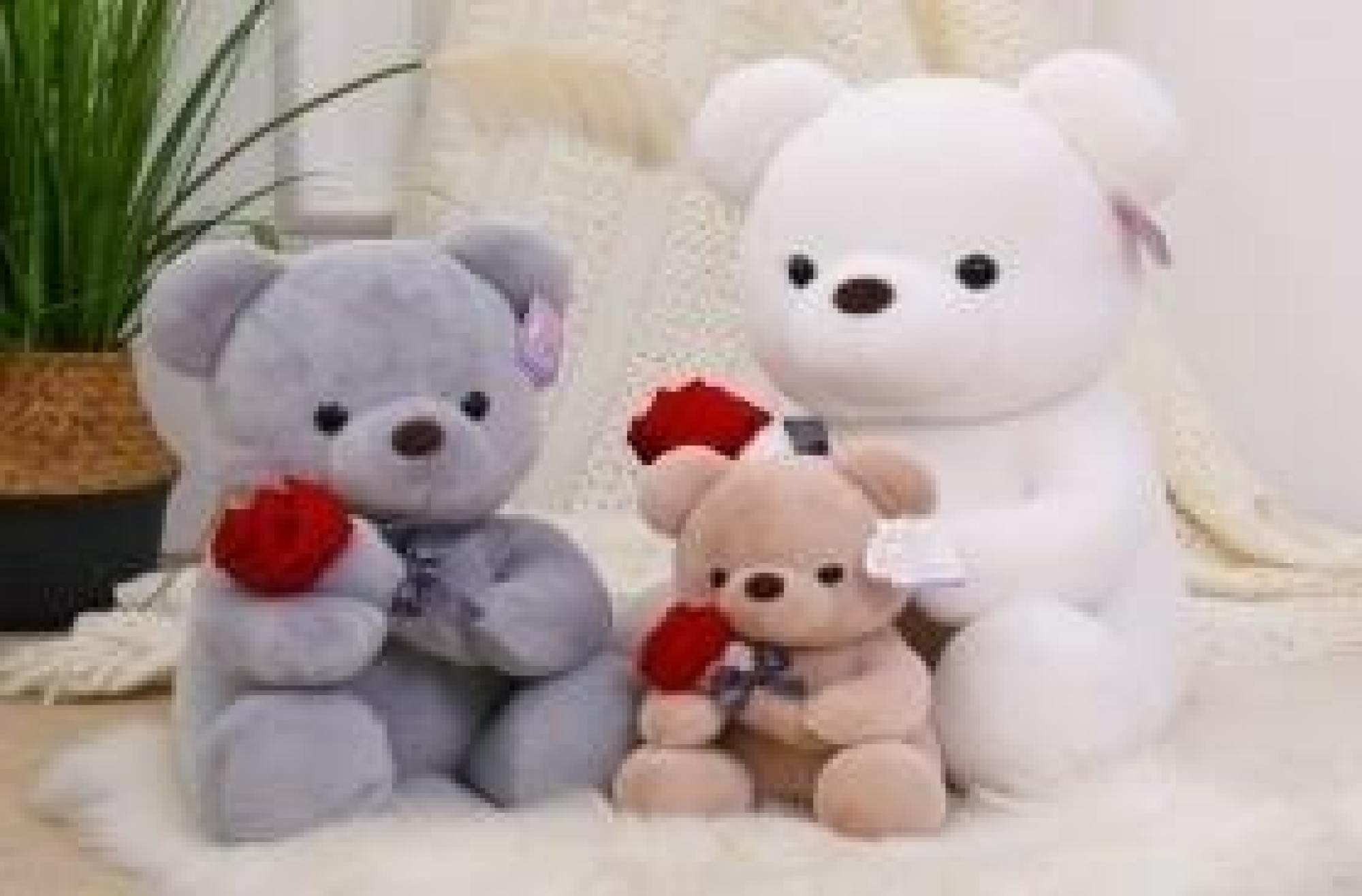Peluche oso 35cm