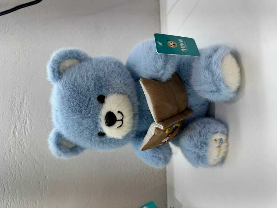 Oso lector 36cm