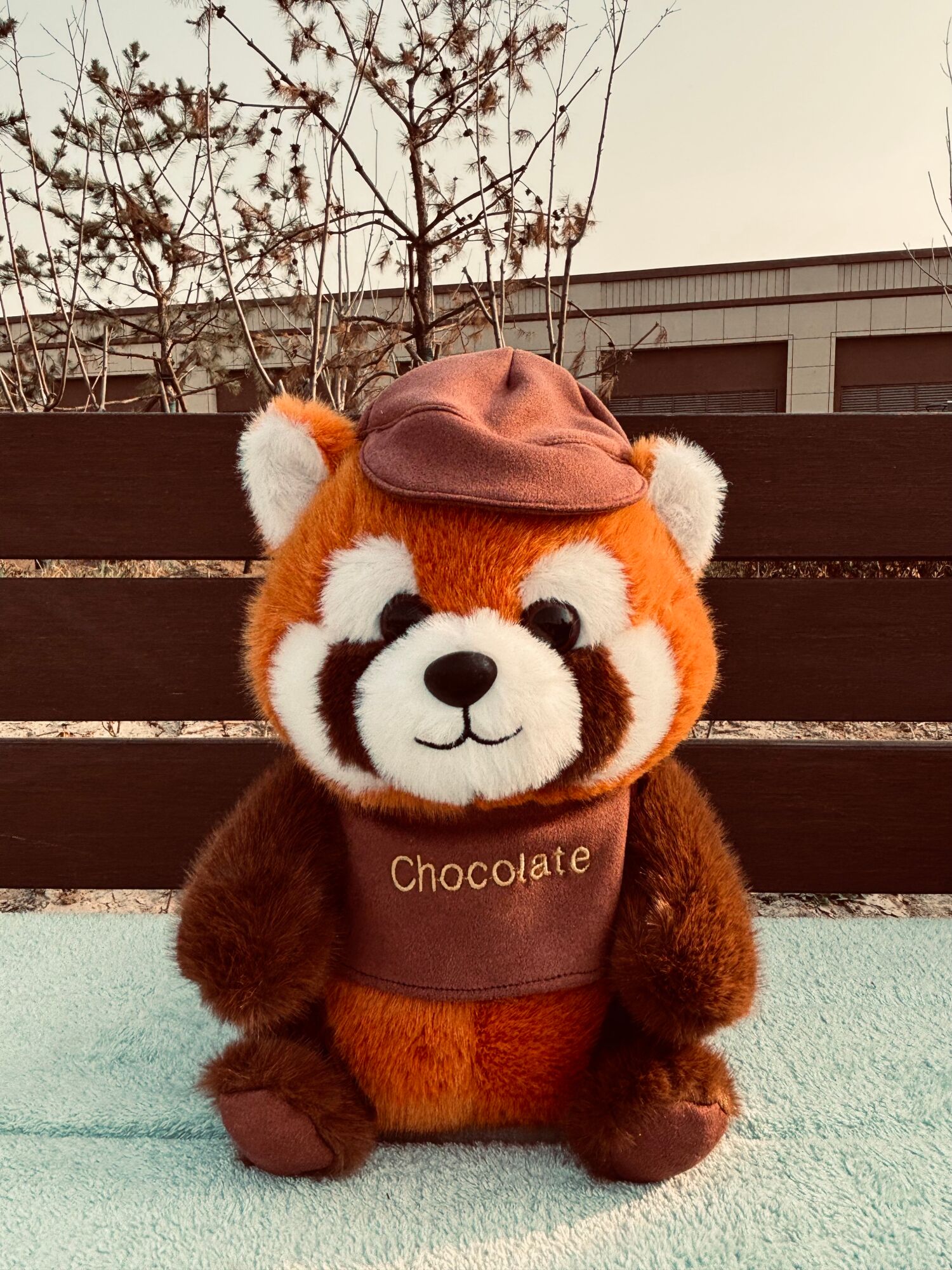 Peluche 30cm