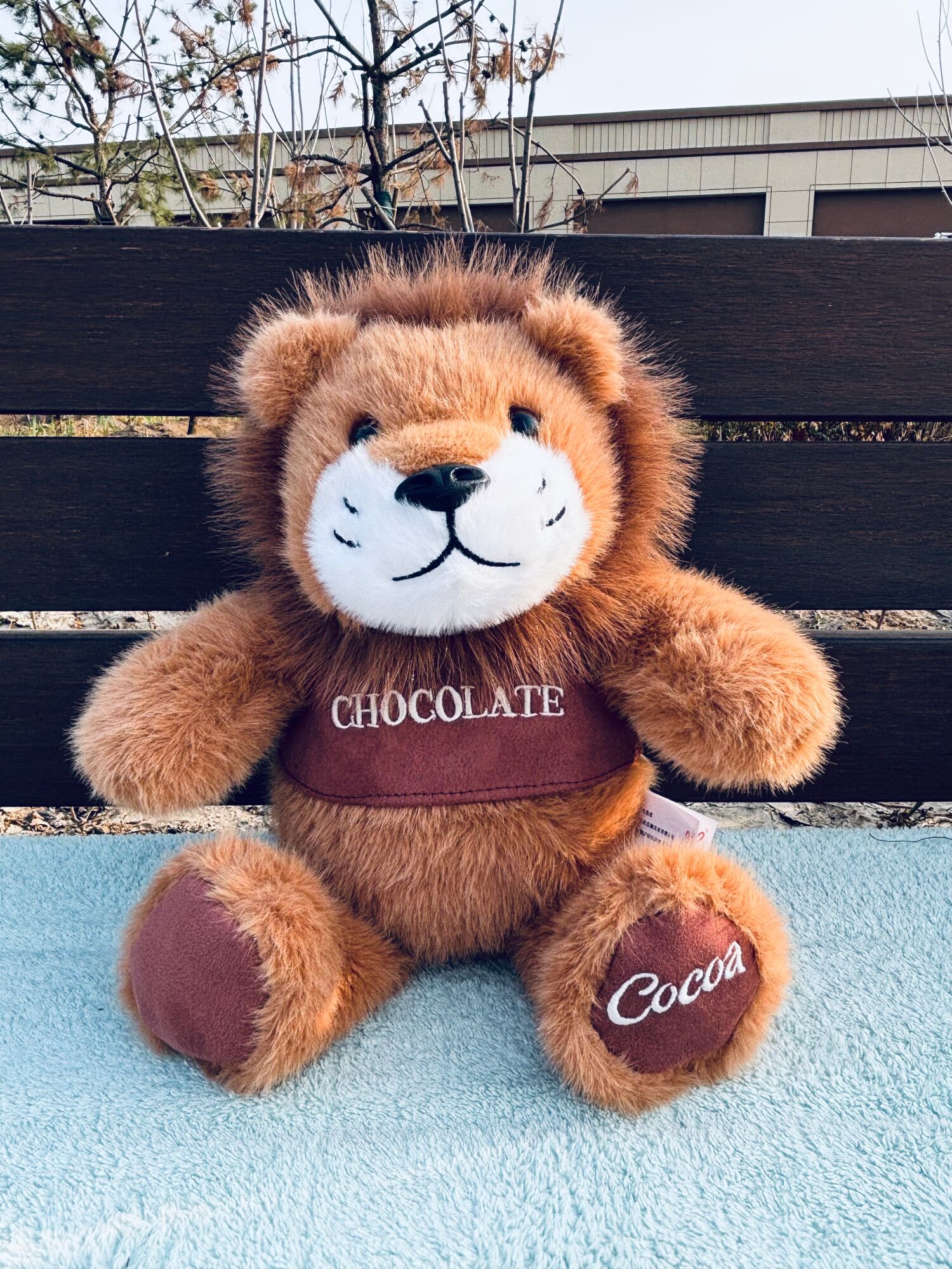 Peluche 30cm
