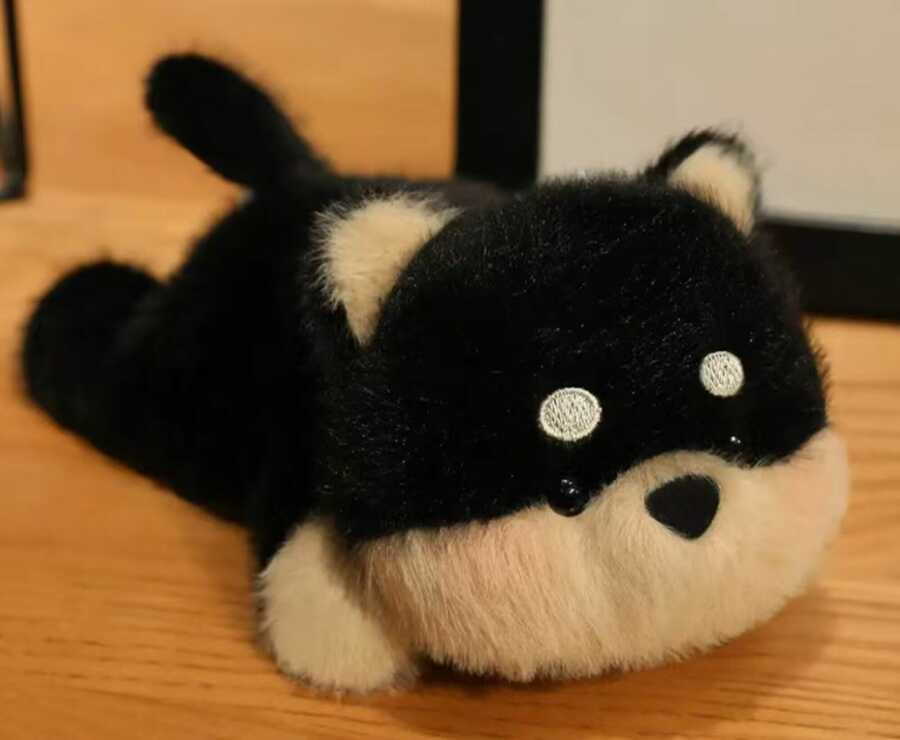 Cachorro de bolsillo (10-18 cm)
