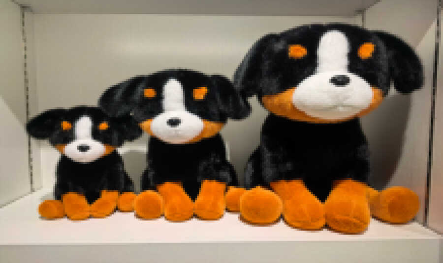 Perro 50cm