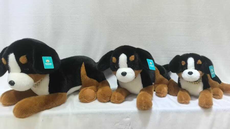 Perro bernés tumbado 70cm