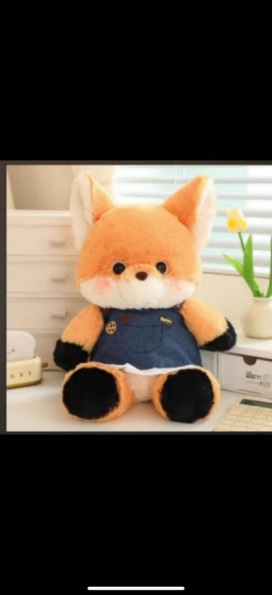 Zorro 50cm