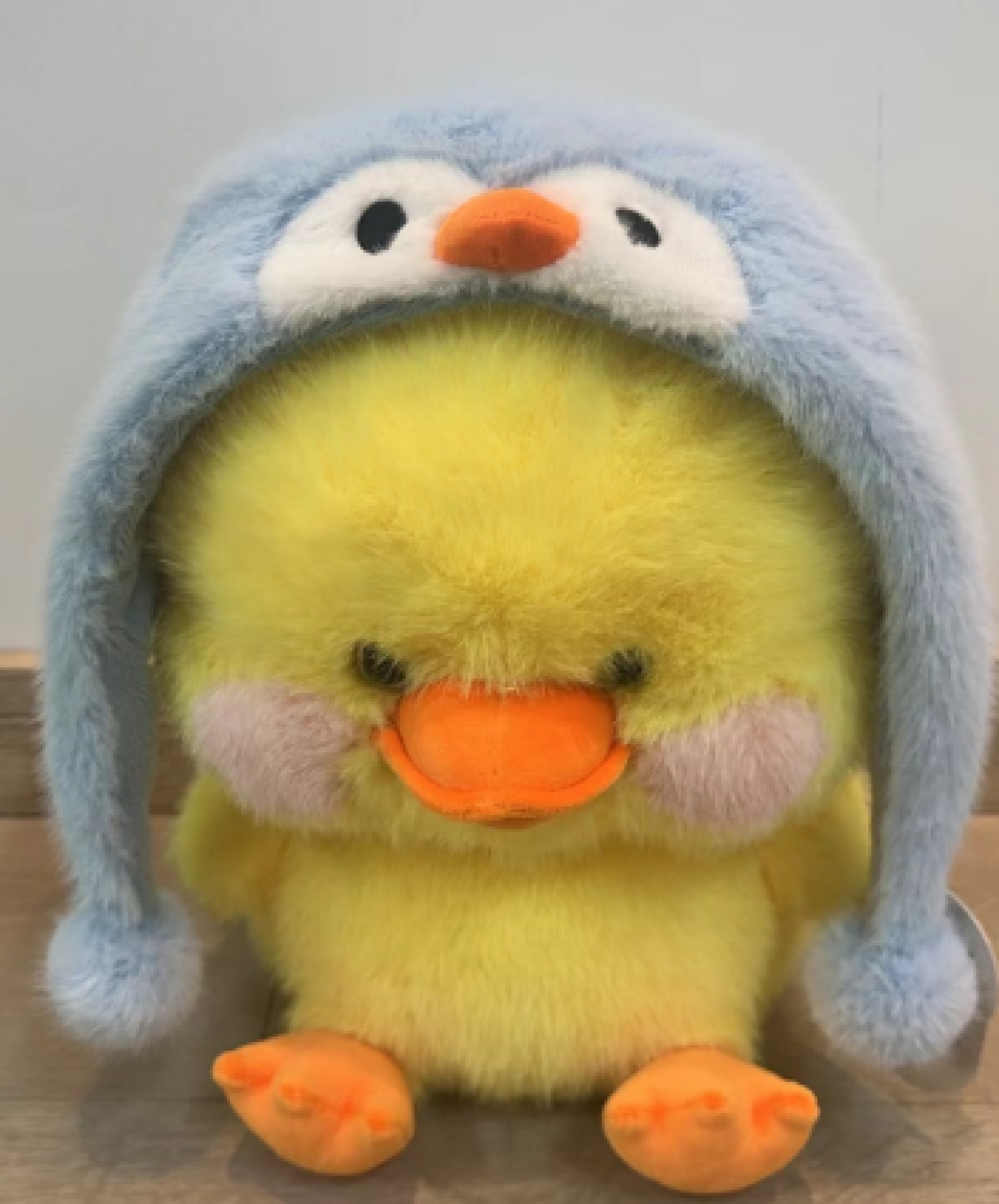 Pato 30cm