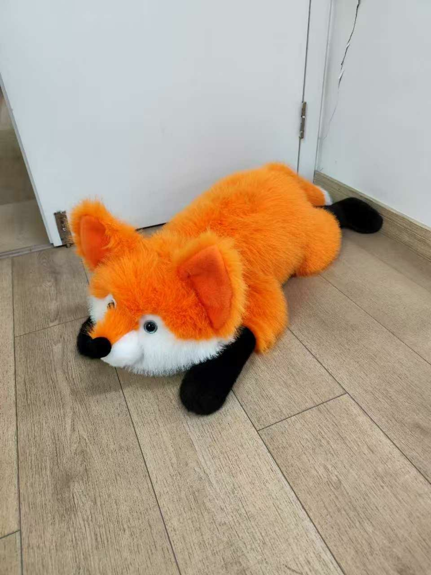 Zorro 70cm