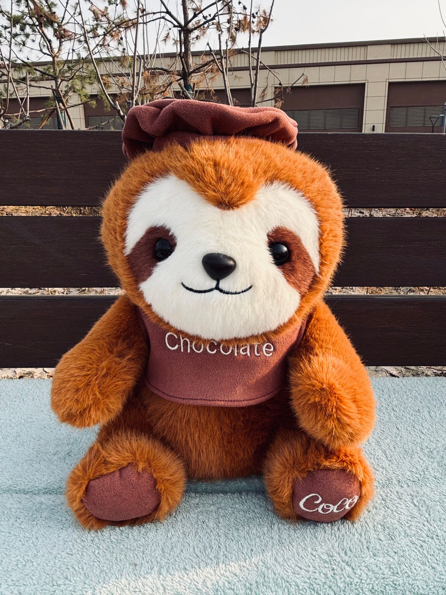 Perezoso Chocolate 23cm