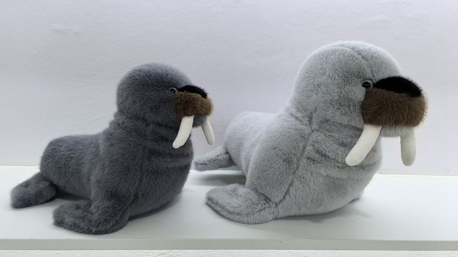 Morsa 30cm