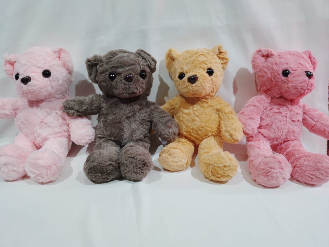OSO parado 4 colores