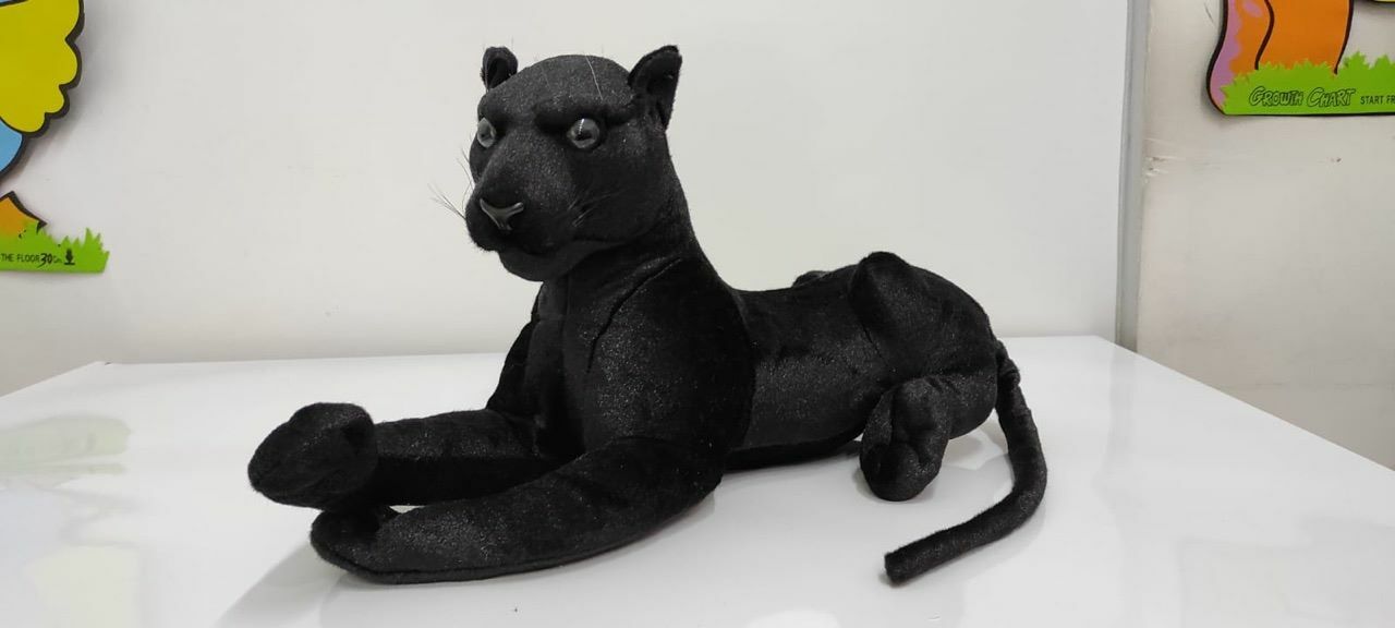 Felinos de 60cm