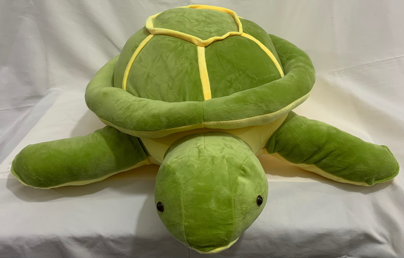 Tortuga 55cm
