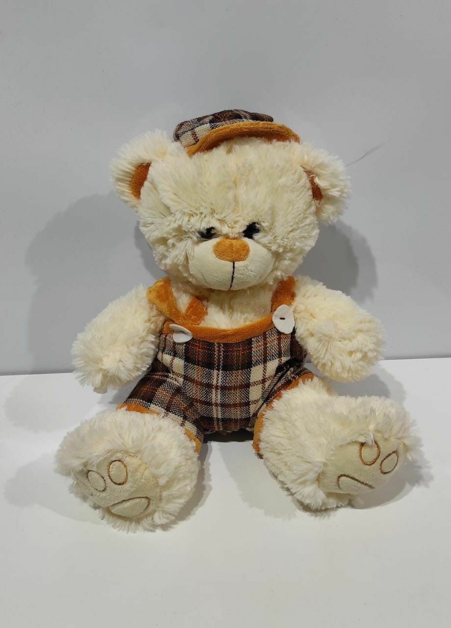 Oso con gorro y remera escoces