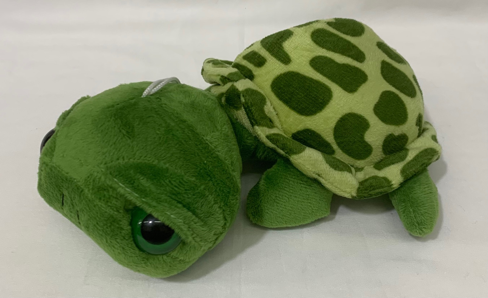 Tortuga acostado con sopapa 20cm