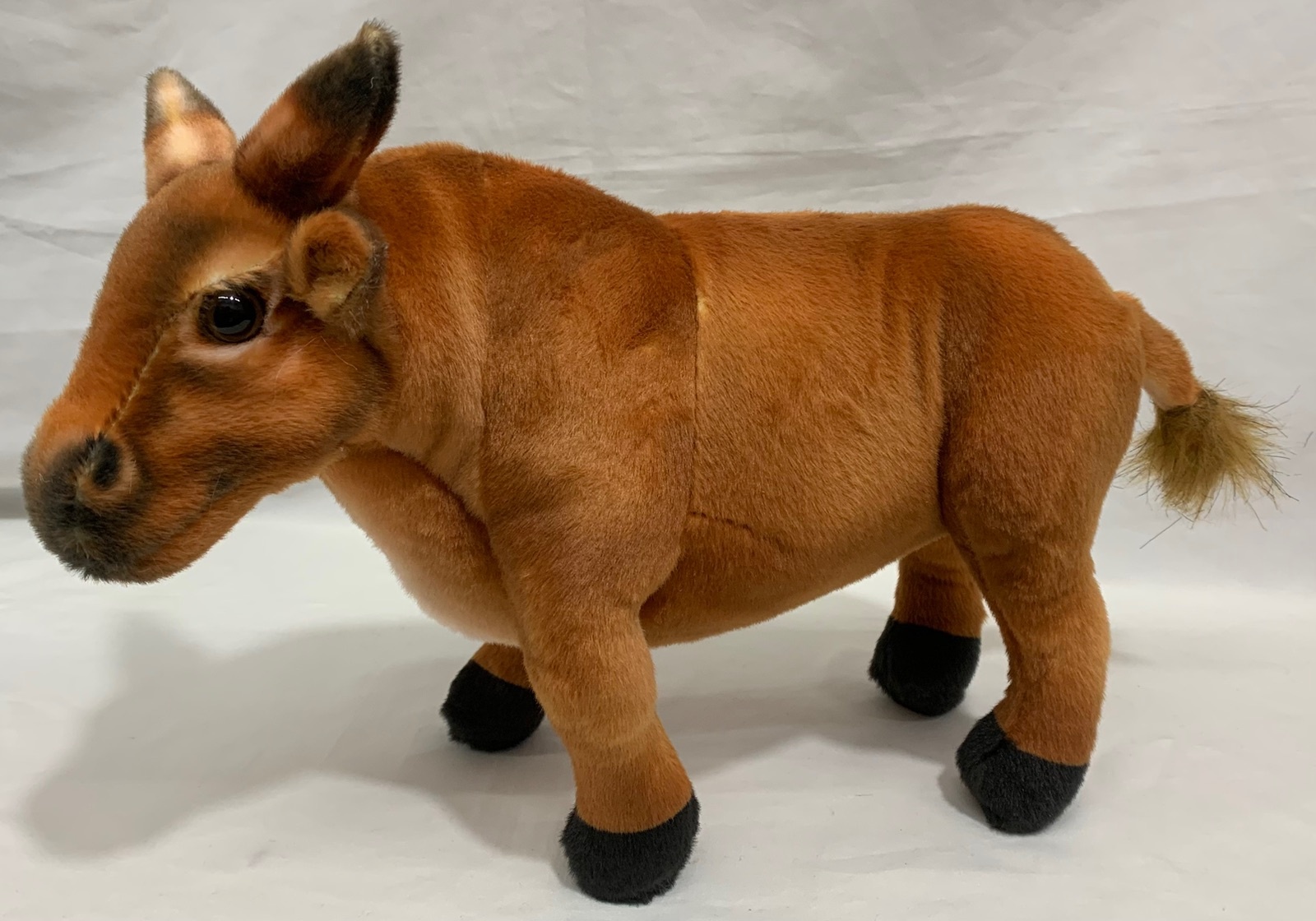 Toro 30cm