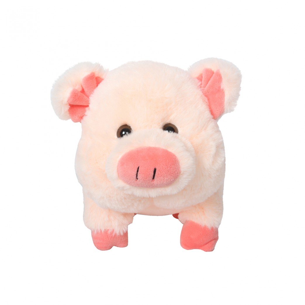 45463-13-CHANCHO 13″