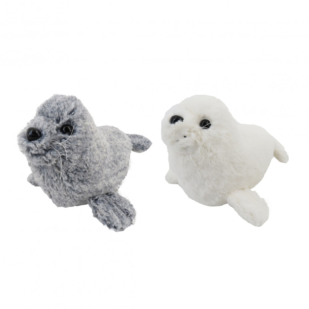 442211-FOCA 9"