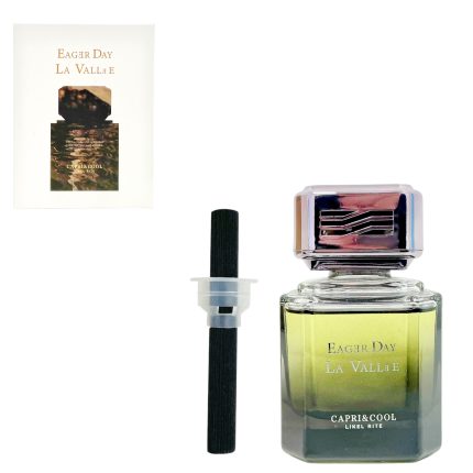 AROMATIZANTE P/ AUTOS EAGER DAY 100ML 8662