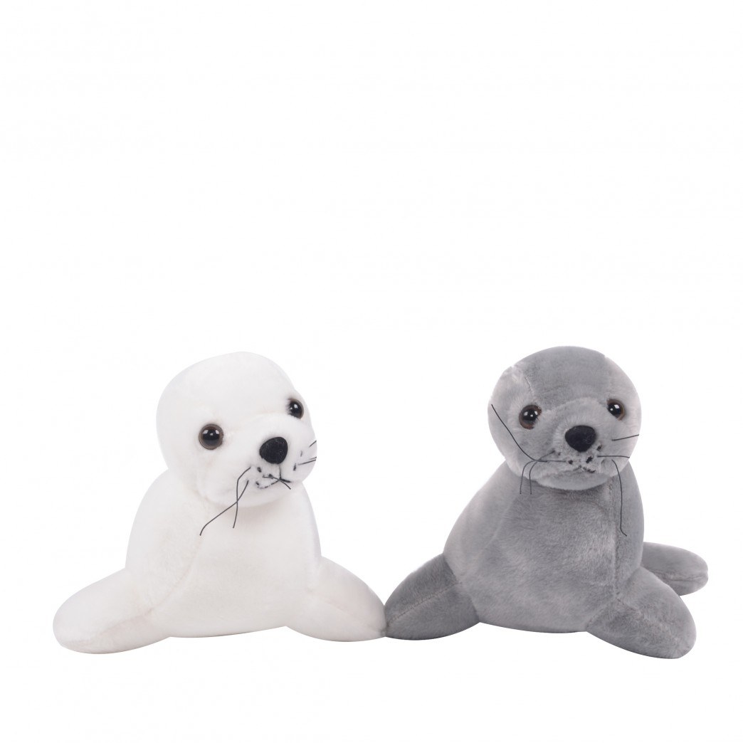 10819XS-FOCA 7.5"