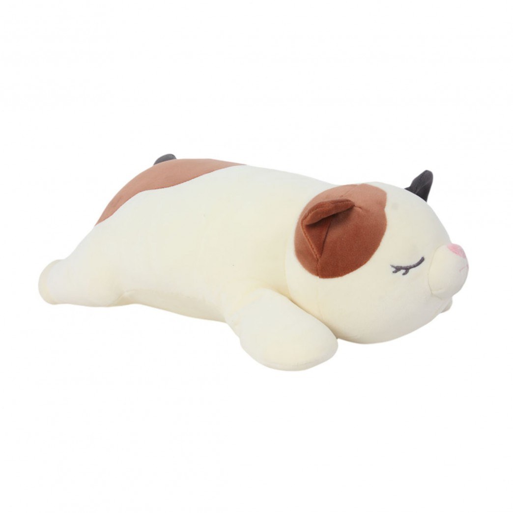 13576-GATO 24"
