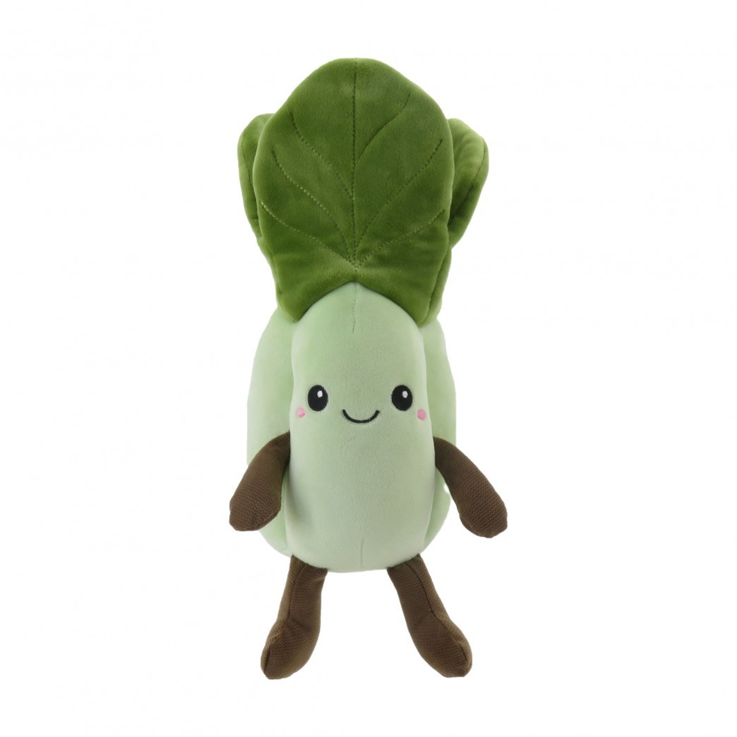 840449-10.5-PAK CHOI COL