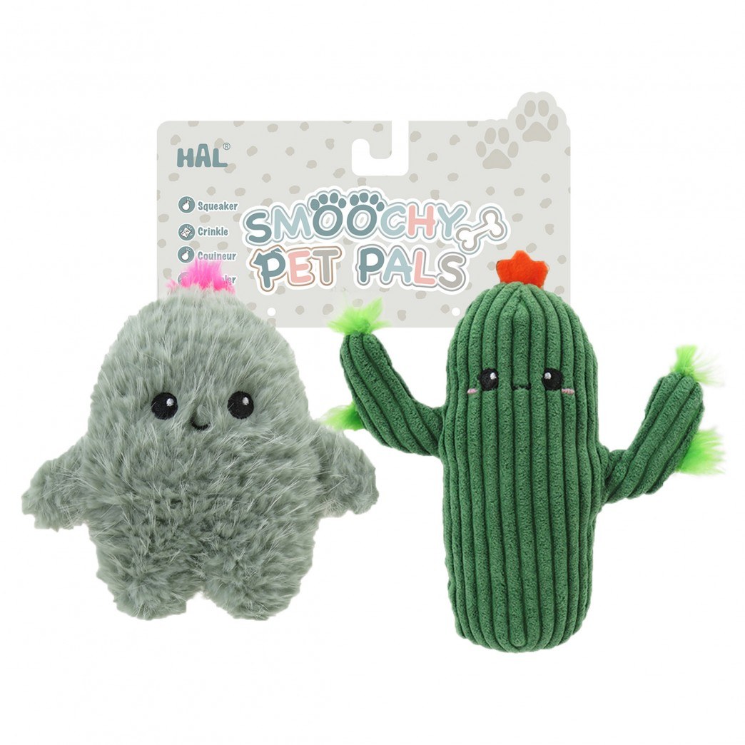 P18584-CACTUS 8" (MASCOTAS)