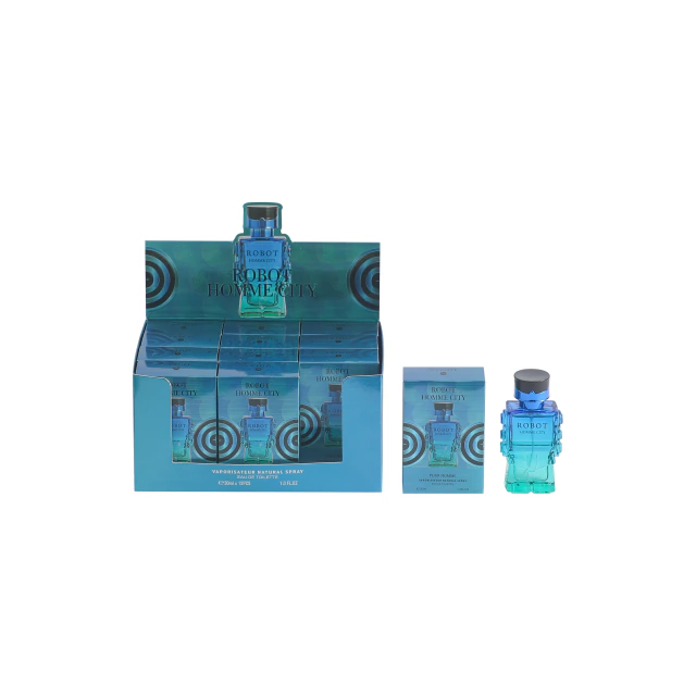 VL3003-1 Robot Homme City