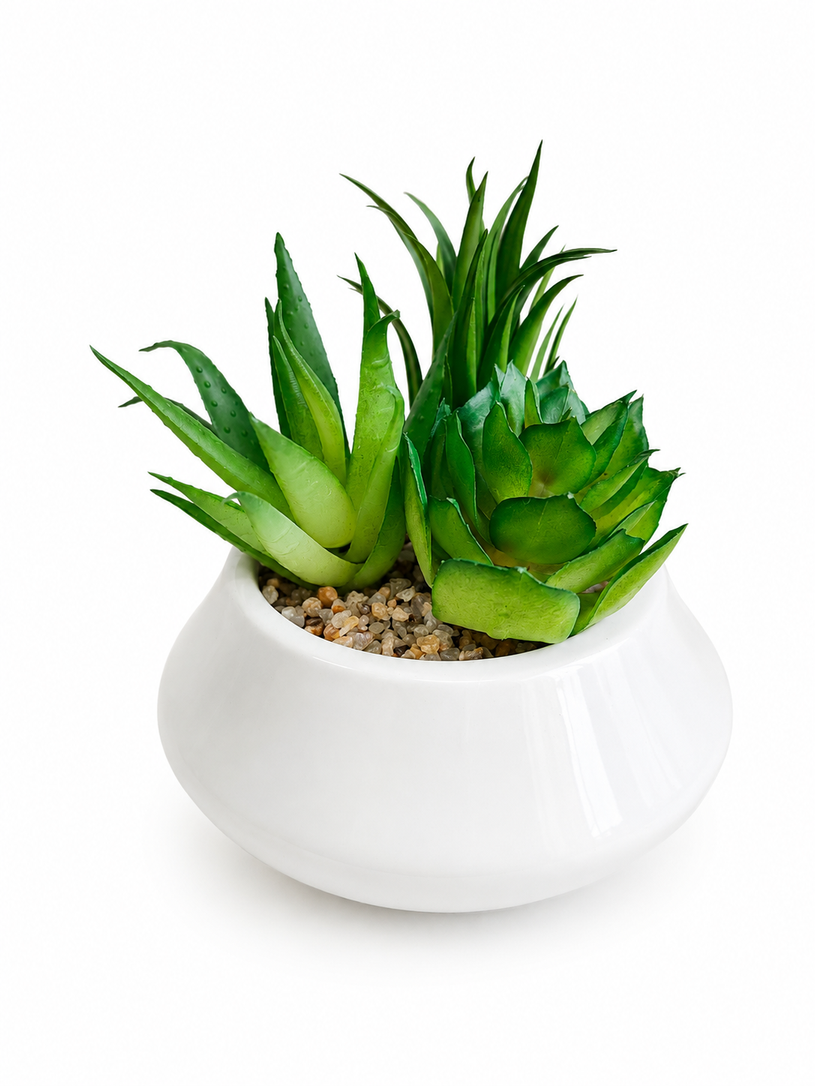SUCULENTA ARTIFICIAL