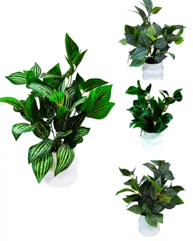 Planta Hoja Premium C/Maceta 33cm Alto