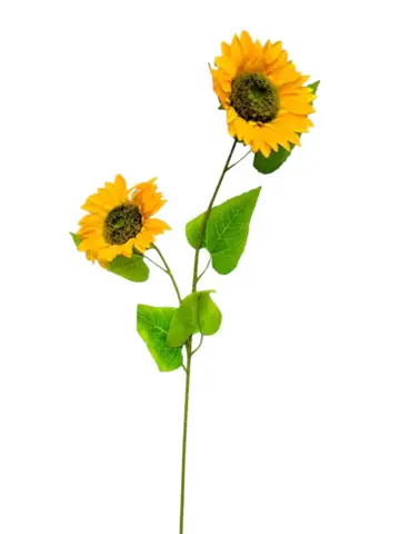 VARA GIRASOL VIENE 2 FLORES DE 16CM ALTO 90CM