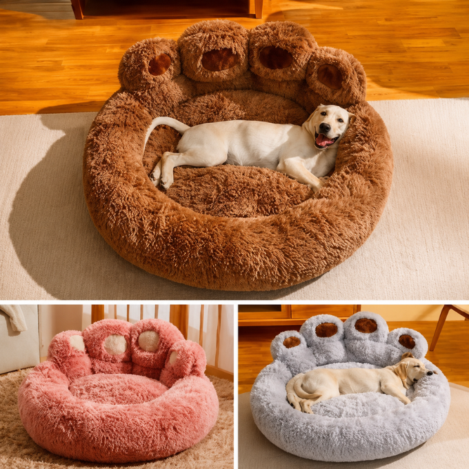 Cama ¨Huellita¨ Para Mascotas